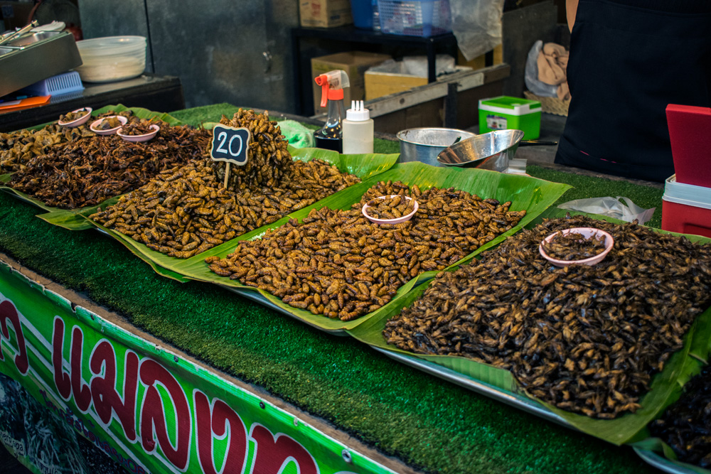 Stand d'insectes sur le marché de Phuket Town en Thaïlande